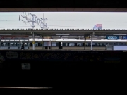 尾張国一宮造りの真清田神社