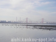 ラムサール条約の藤前干拓